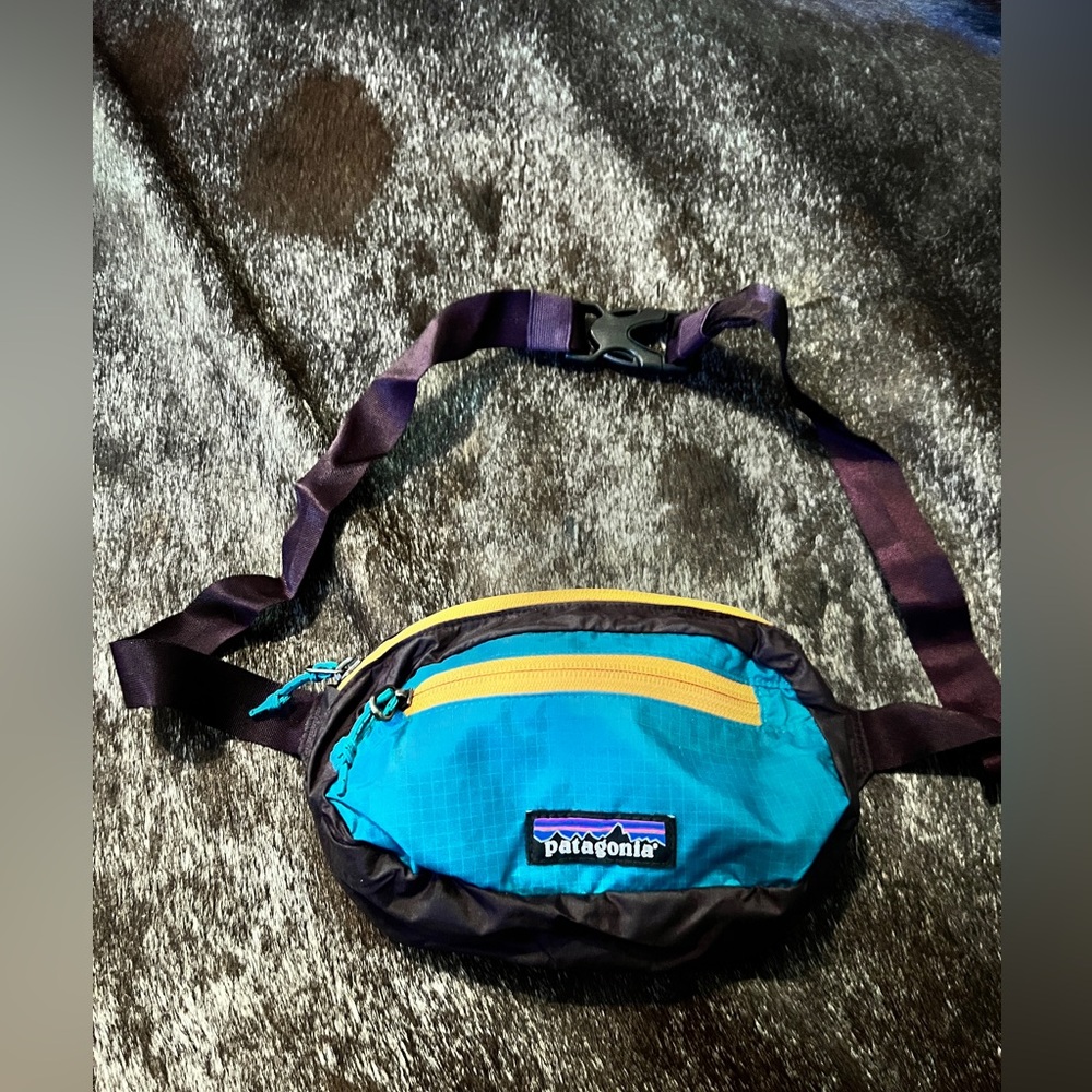 Patagonia Teal and Purple Waist Bag